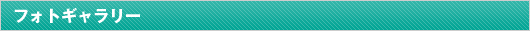 �t�H�g�M�������[